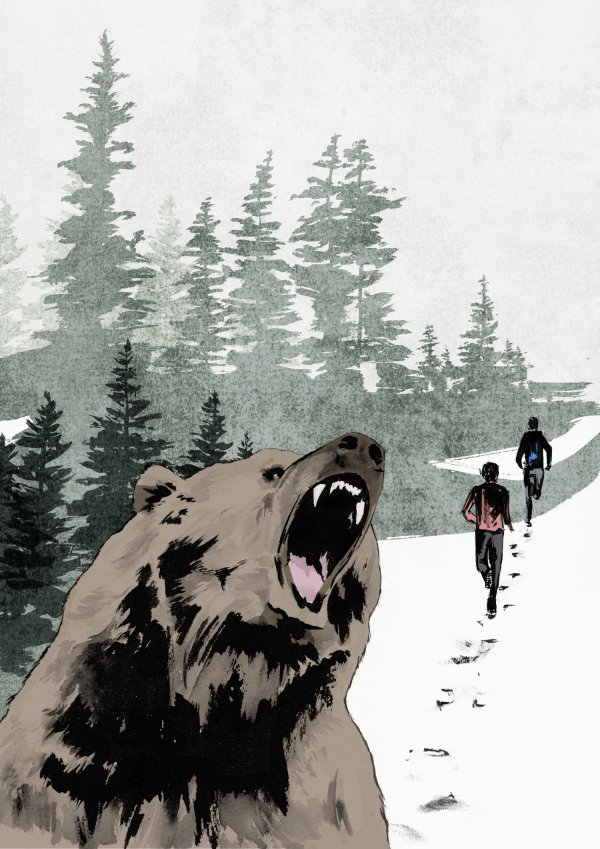Grizzly Bear - Climb Magazine