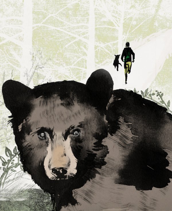 Bear - Trailrunner magazine