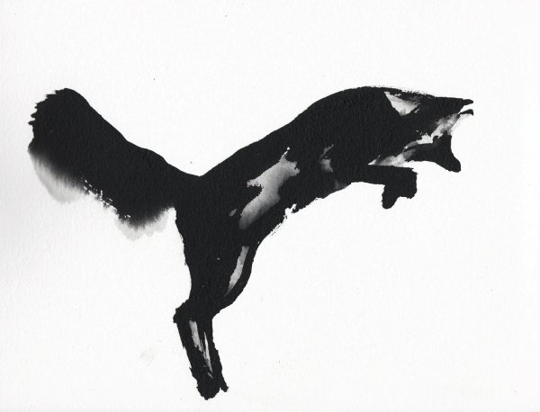 Fox jumping